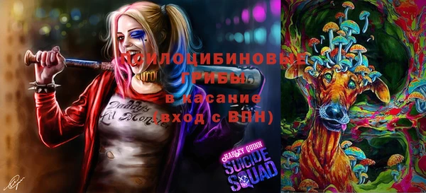 Альфа ПВП Беломорск